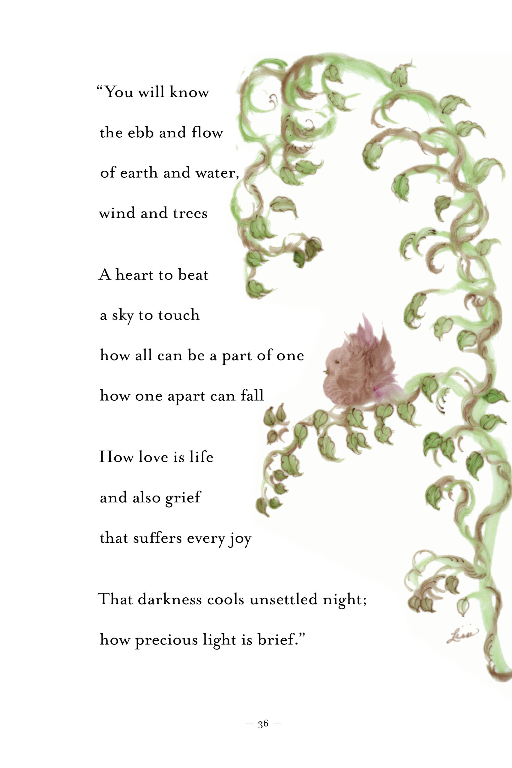 Light as a Feather – Signed Book - Image 3